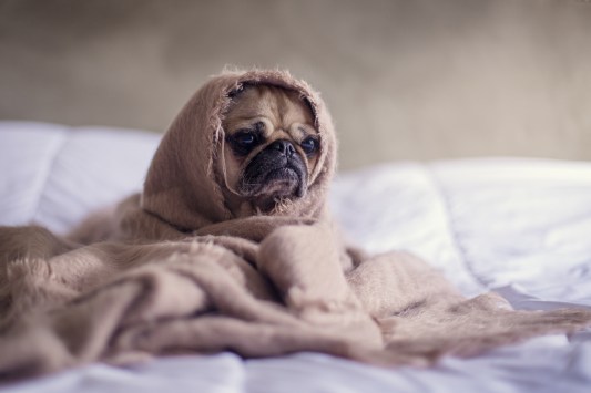 My 6 Best Tips for Beating Blogger Overwhelm | ProBlogger.net